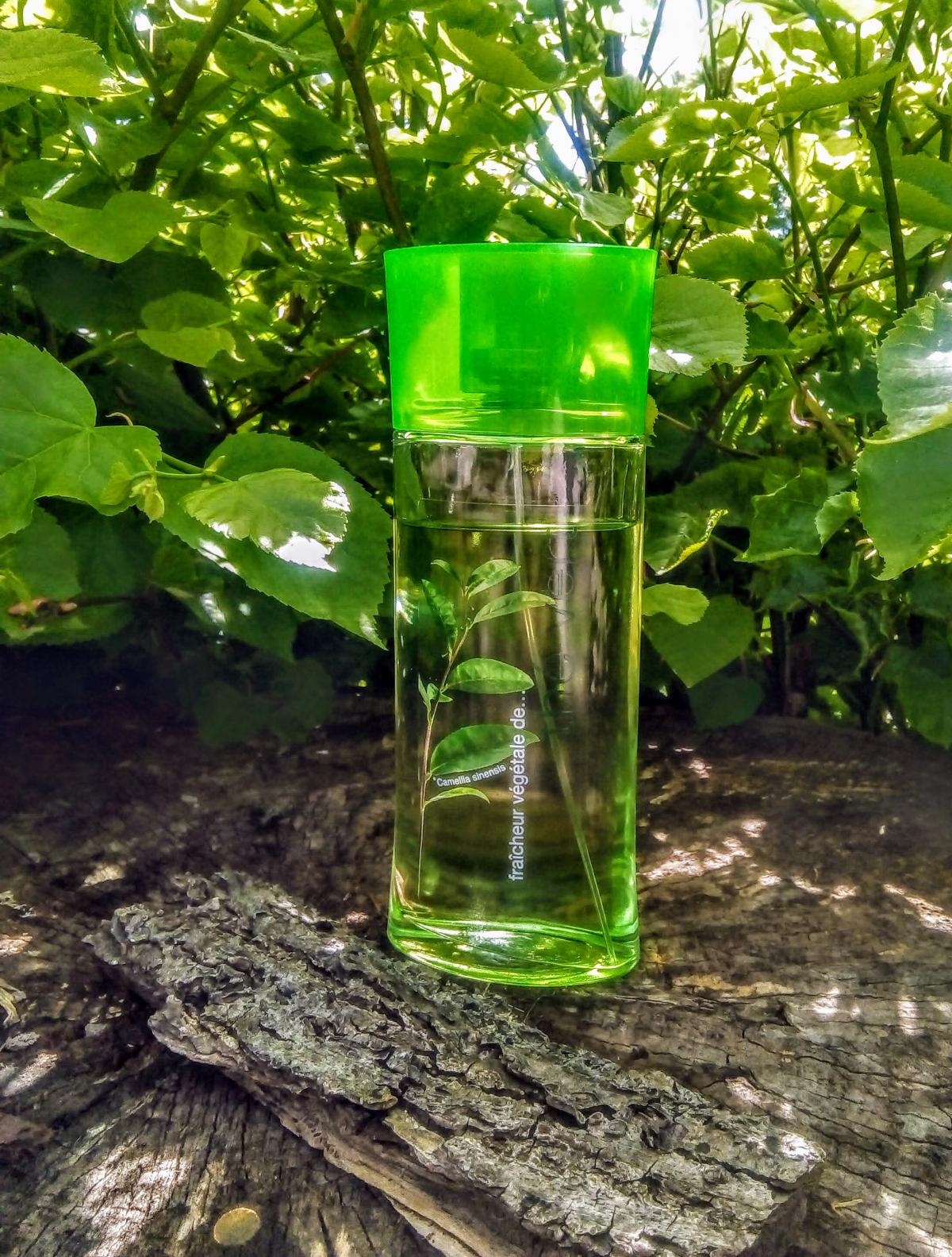 عطر ادکلن فریشور وگتال ته ورت ایو روشه - Fraicheur Vegetale The Vert Yves Rocher - بررسی، قیمت و خرید