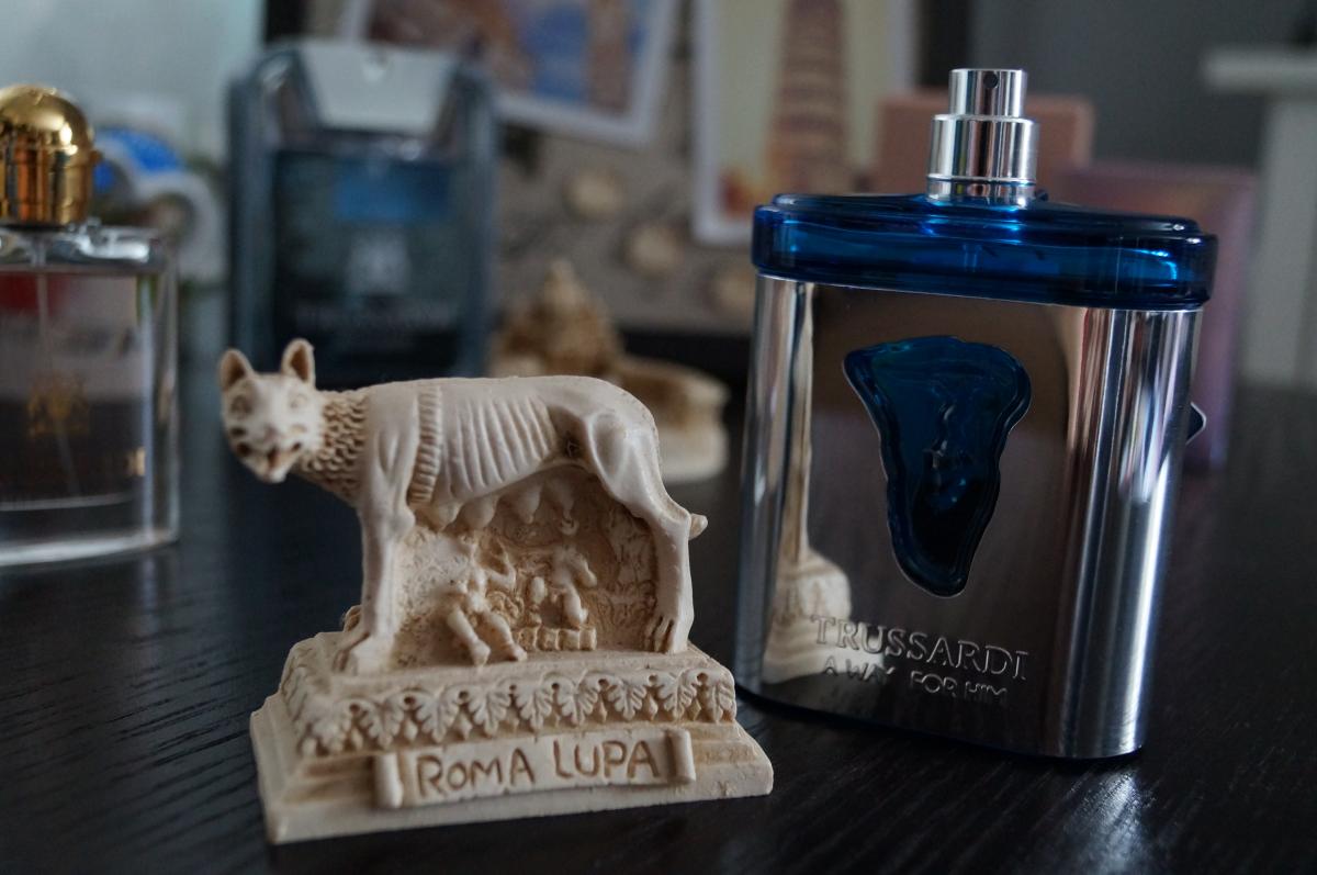 عطر ادکلن تروساردی ا وی فور هیم تروساردی - Trussardi A Way for Him Trussardi - بررسی، قیمت و خرید