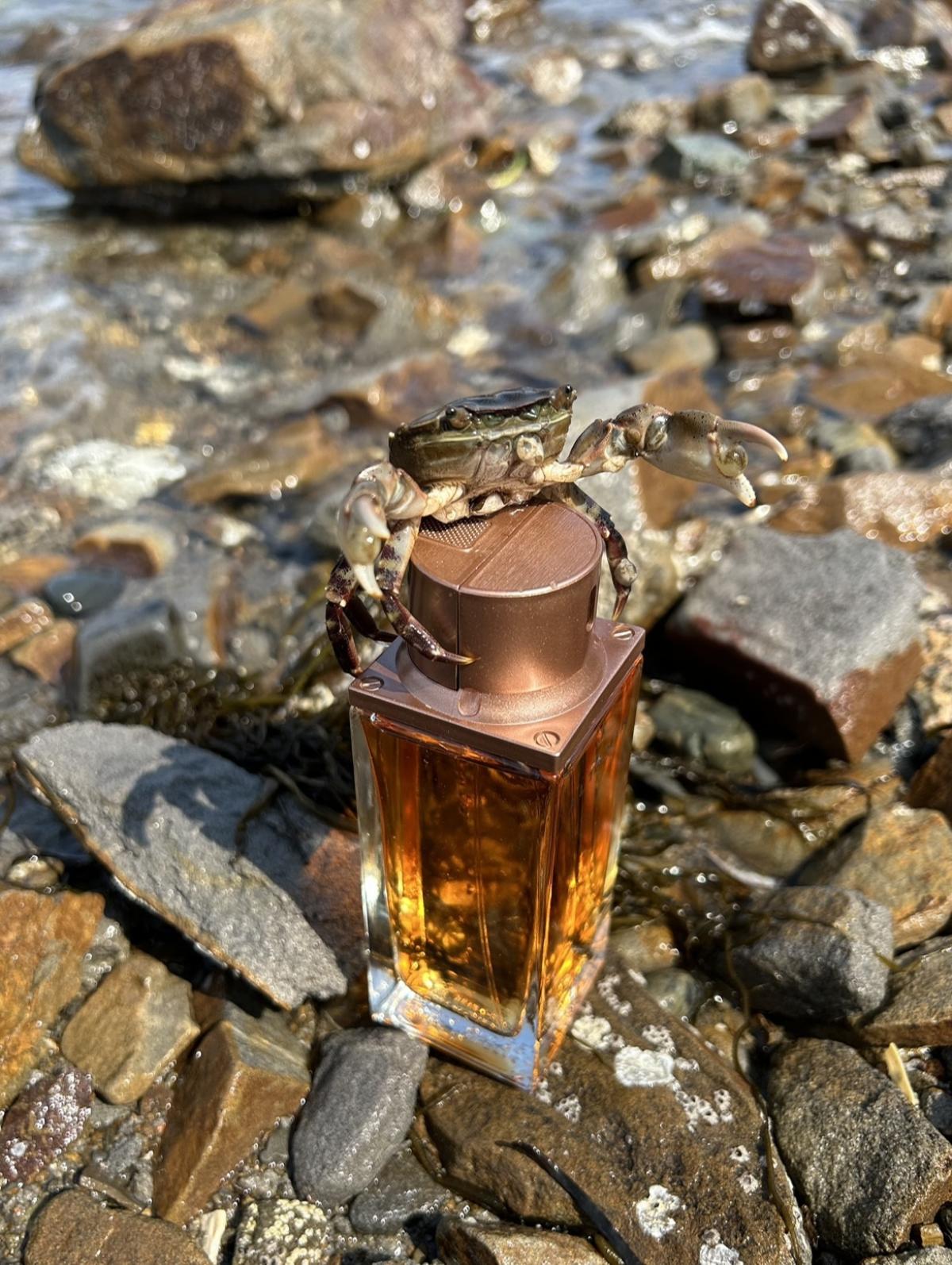 عطر ادکلن آلتامیر تد لاپیدوس - Altamir Ted Lapidus - بررسی، قیمت و خرید