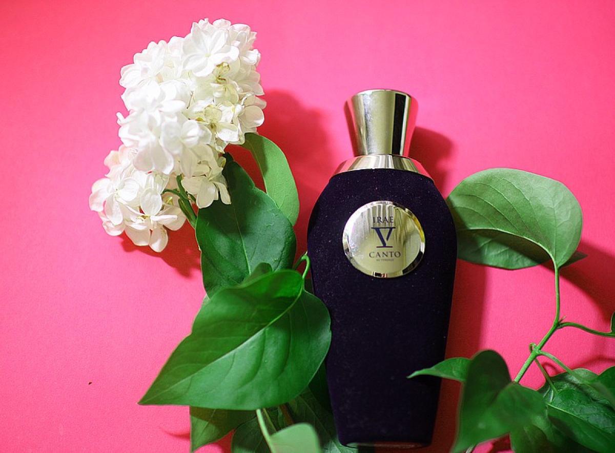 عطر ادکلن ایری وی کانتو - Irae V Canto - بررسی، قیمت و خرید
