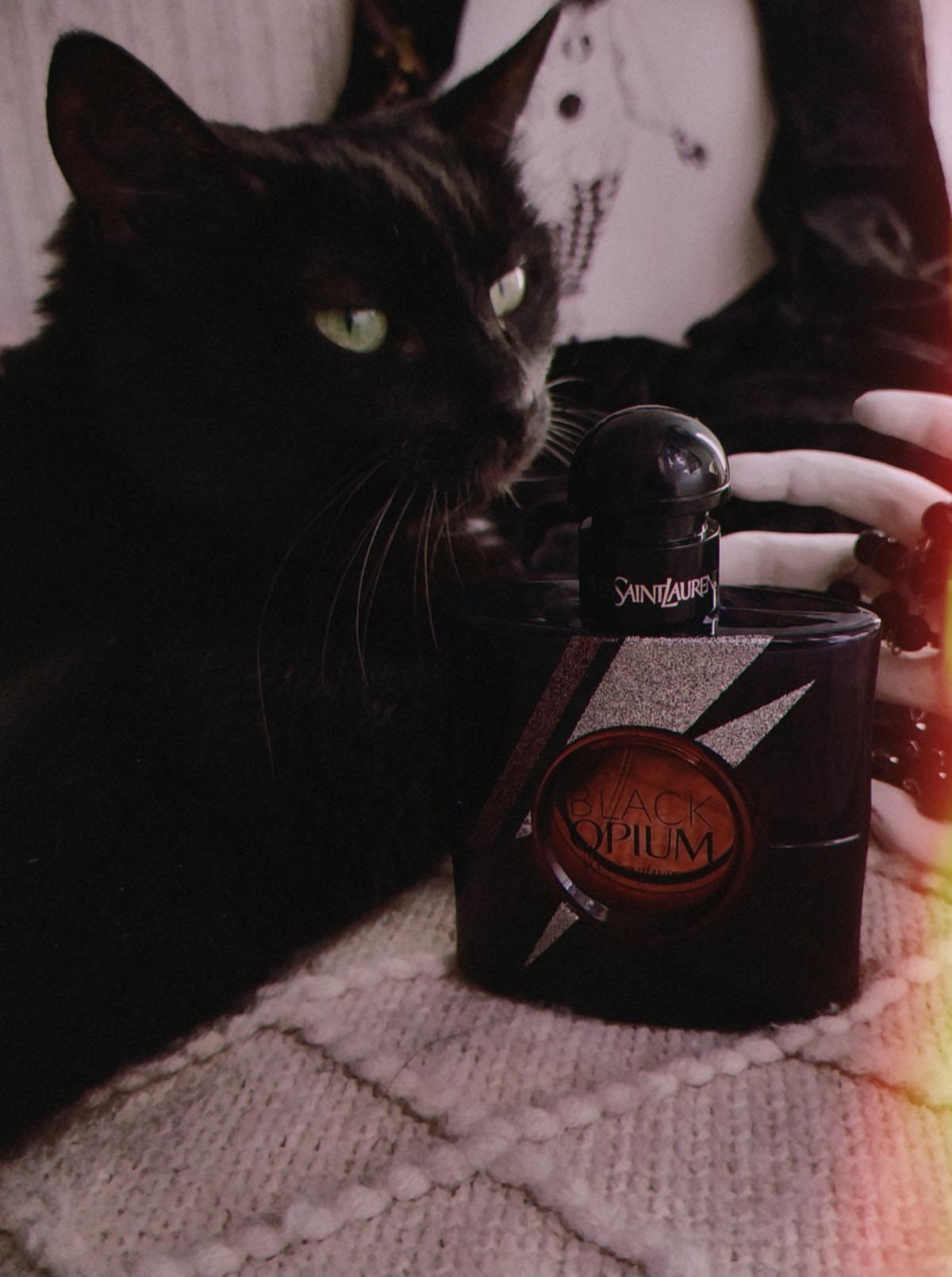 عطر ادکلن بلک اوپیوم استورم ایلوژن ایو سن لوران - Black Opium Storm Illusion Yves Saint Laurent - بررسی، قیمت و خرید