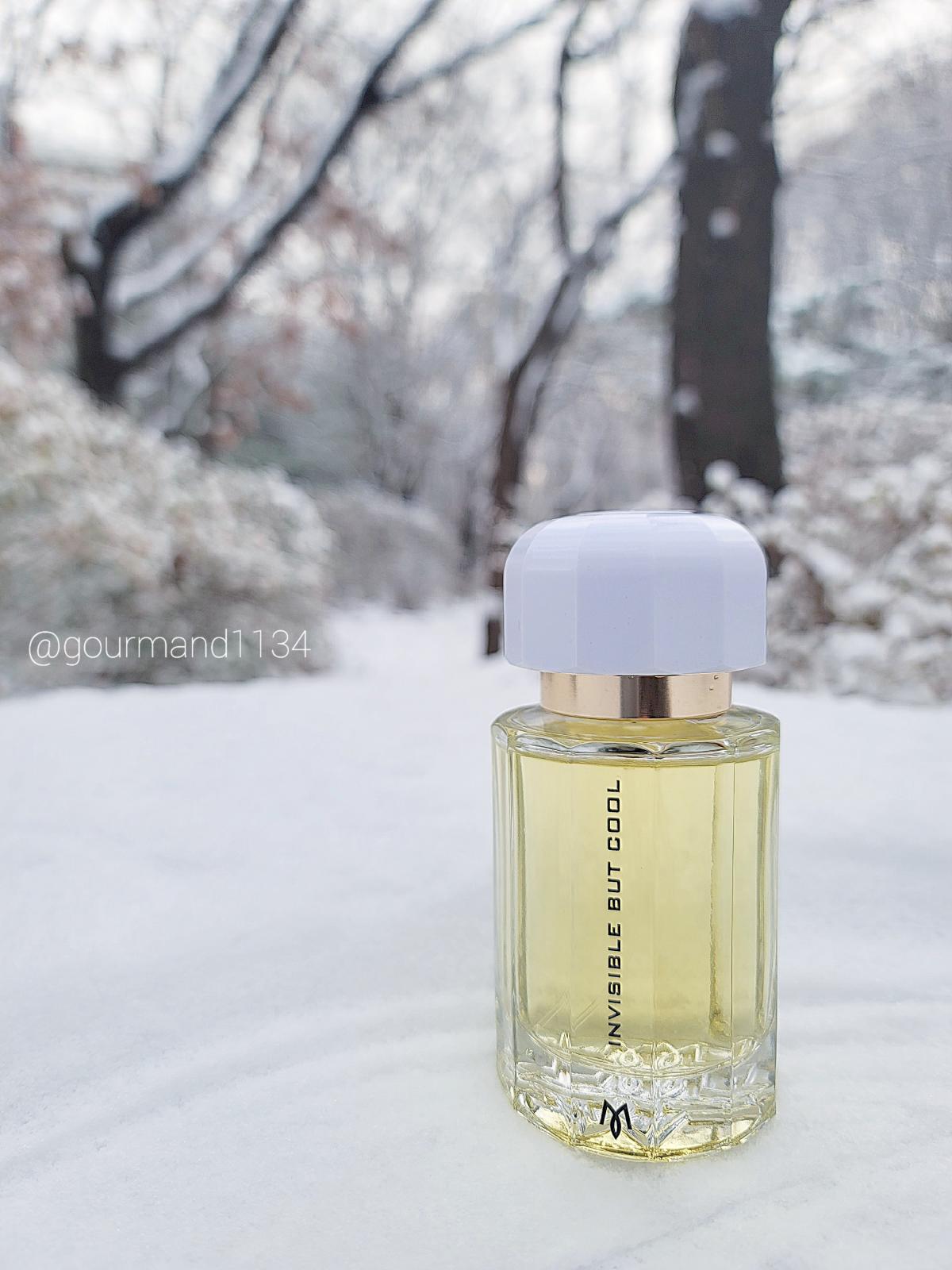 عطر ادکلن اینویزیبل بات کول رامون مونيگال - Invisible But Cool Ramon Monegal - بررسی، قیمت و خرید