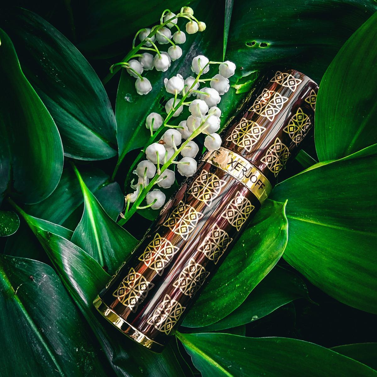 عطر ادکلن الکساندریا دو زرجوف - Alexandria II Xerjoff - بررسی، قیمت و خرید