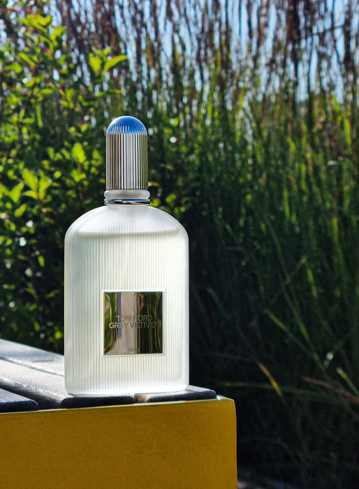 عطر ادکلن گری وتیور تام فورد - Grey Vetiver Tom Ford - بررسی، قیمت و خرید