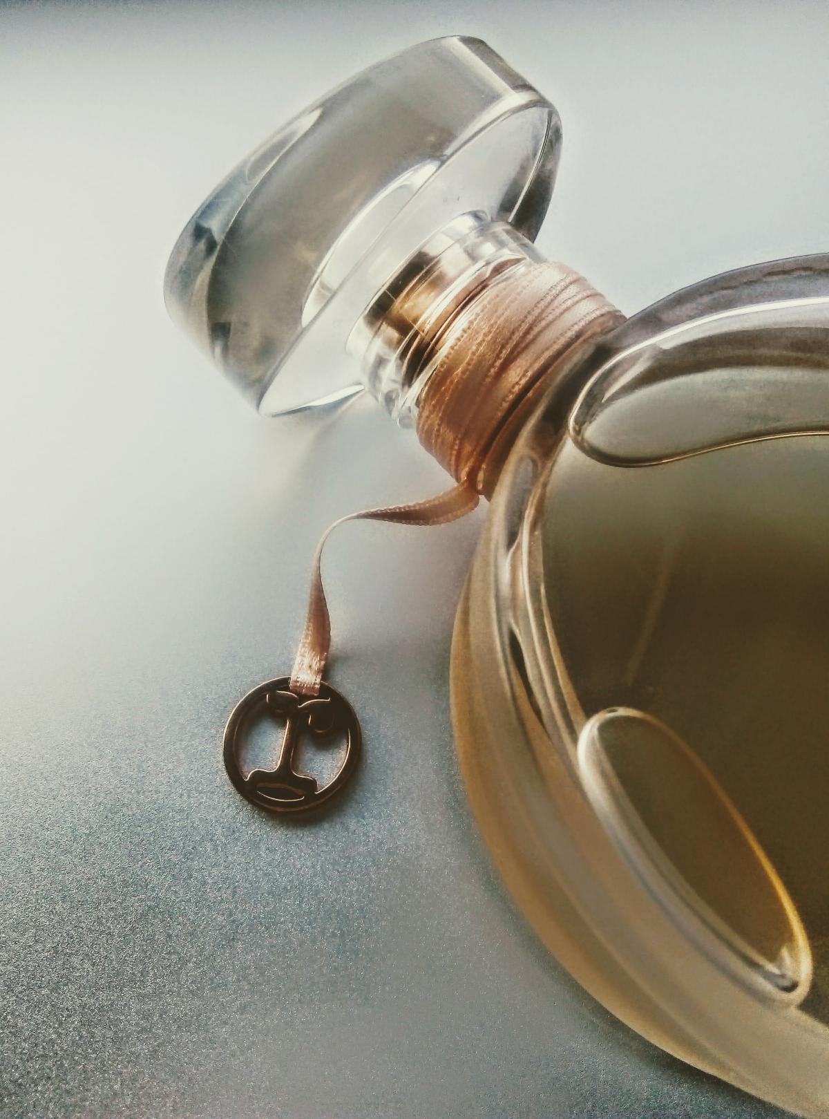 عطر ادکلن ریپتو ریپتو - Repetto Repetto - بررسی، قیمت و خرید