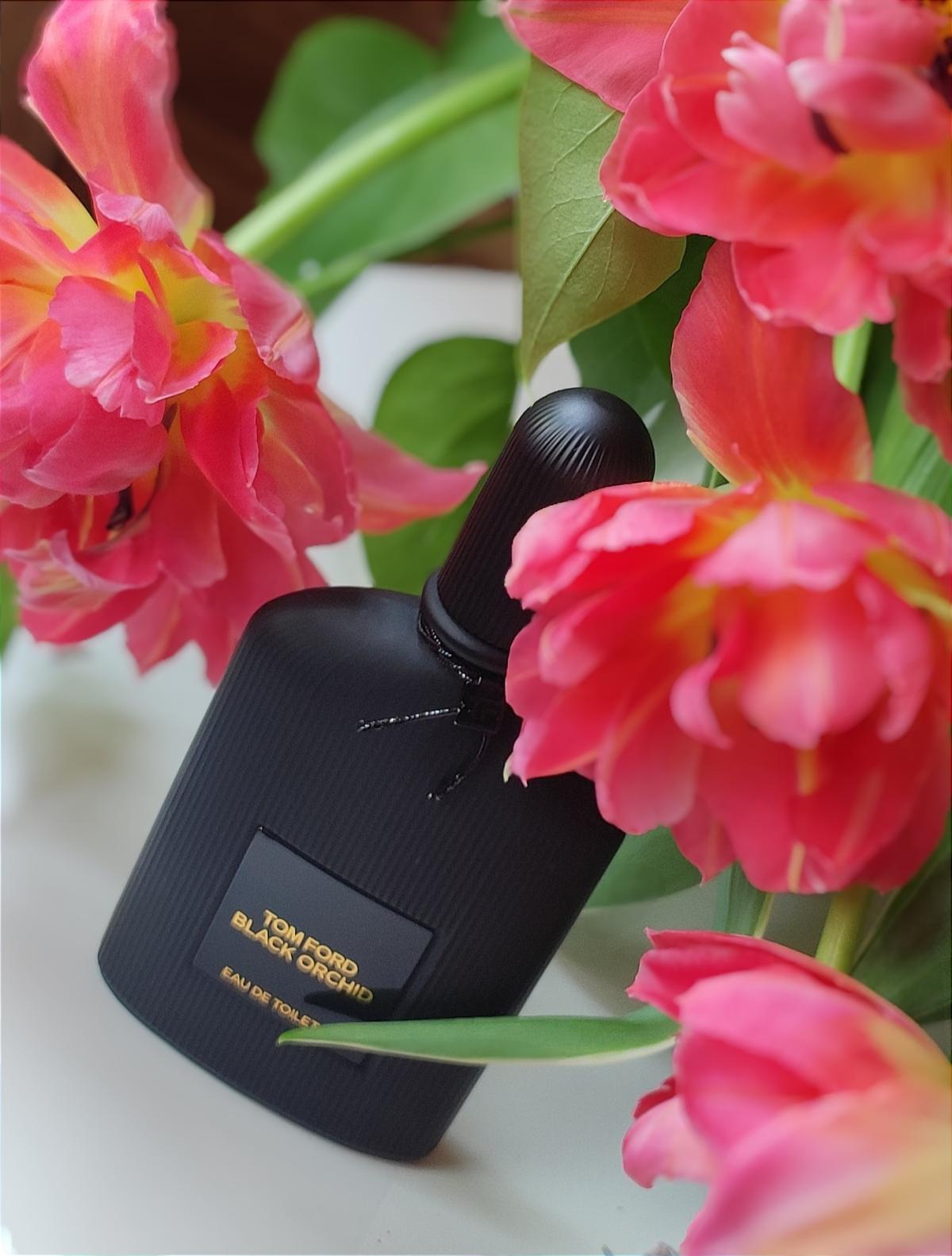 عطر ادکلن بِلَک اُرکید اُ دِ تویلت تام فورد - Black Orchid Eau de Toilette (2023) Tom Ford - بررسی، قیمت و خرید