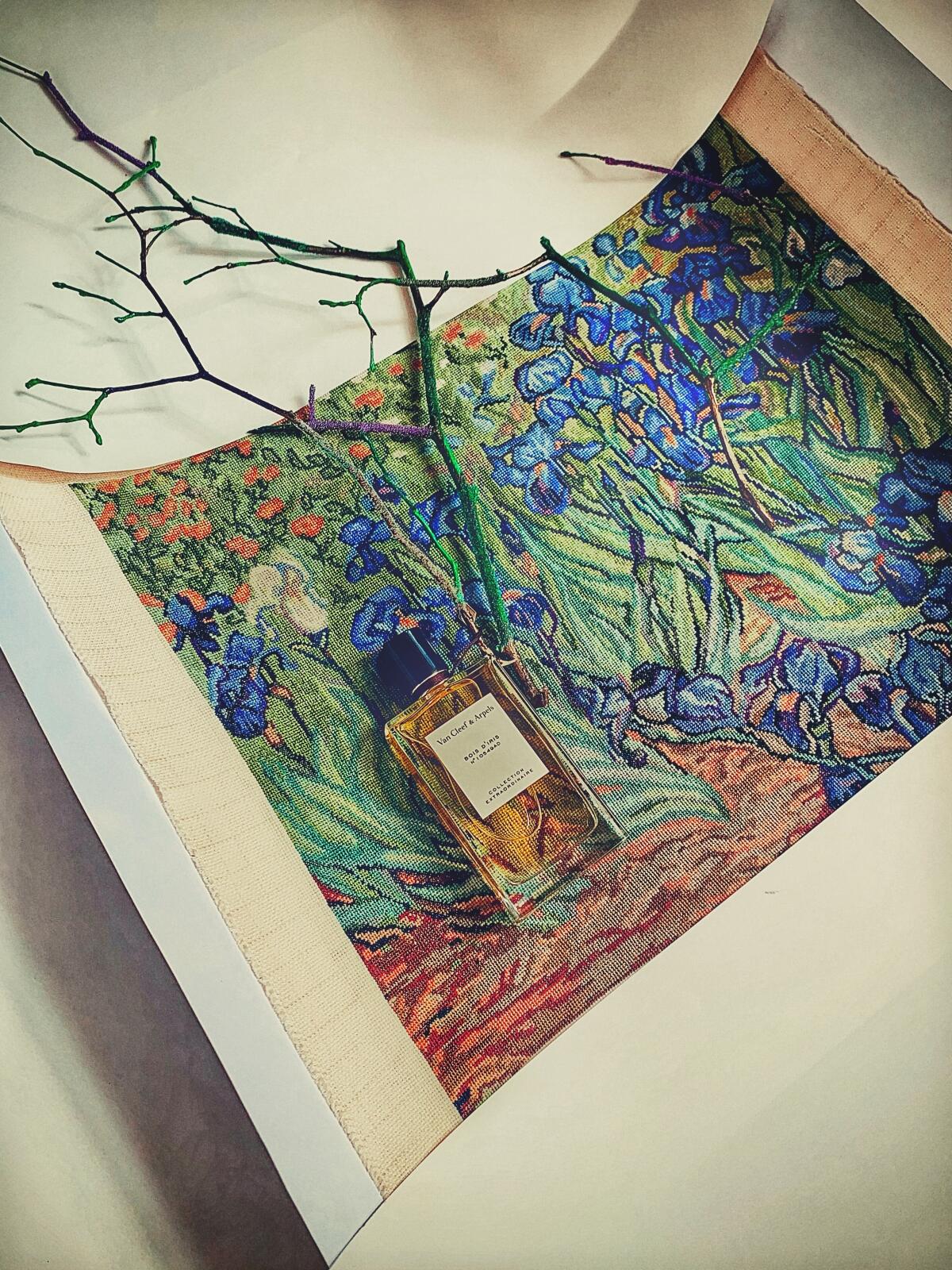 عطر ادکلن بوا د آیریس ون کلیف اند آرپلس - Bois d'Iris Van Cleef & Arpels - بررسی، قیمت و خرید