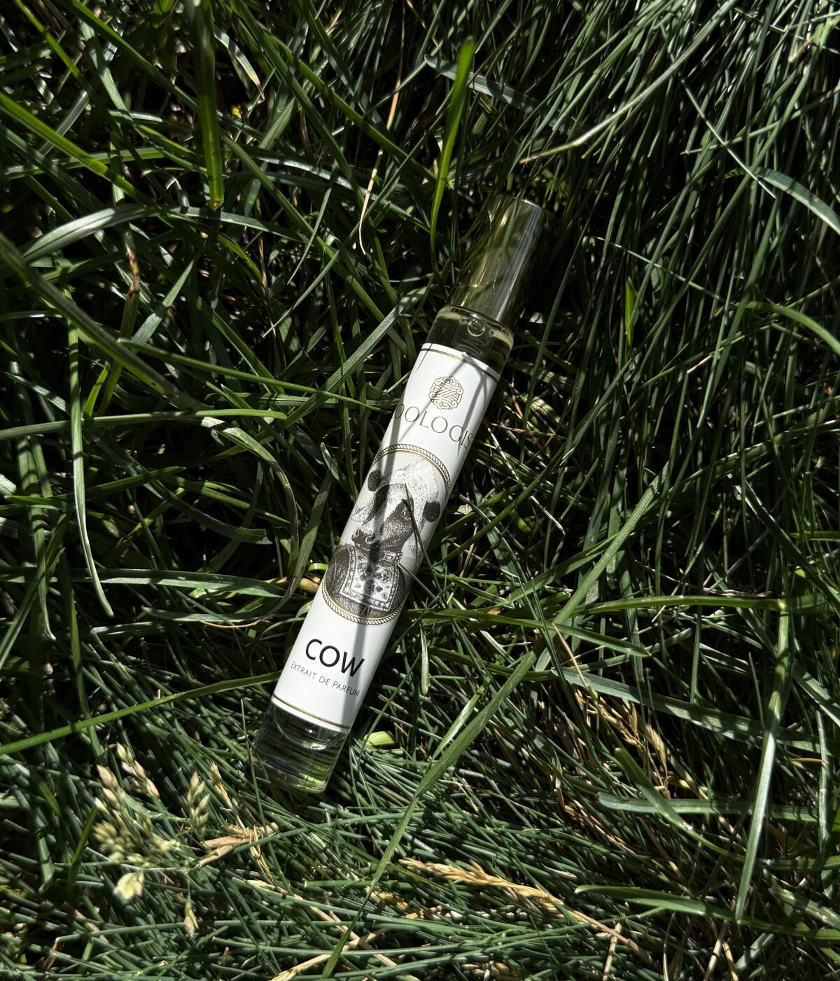 عطر ادکلن کو زولوژیست پرفیومز - Cow Zoologist Perfumes - بررسی، قیمت و خرید