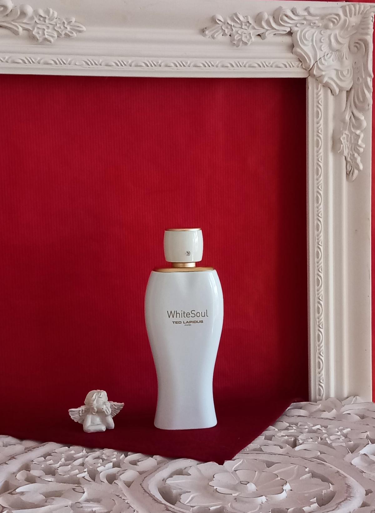 عطر ادکلن وایت سول تد لاپیدوس - White Soul Ted Lapidus - بررسی، قیمت و خرید