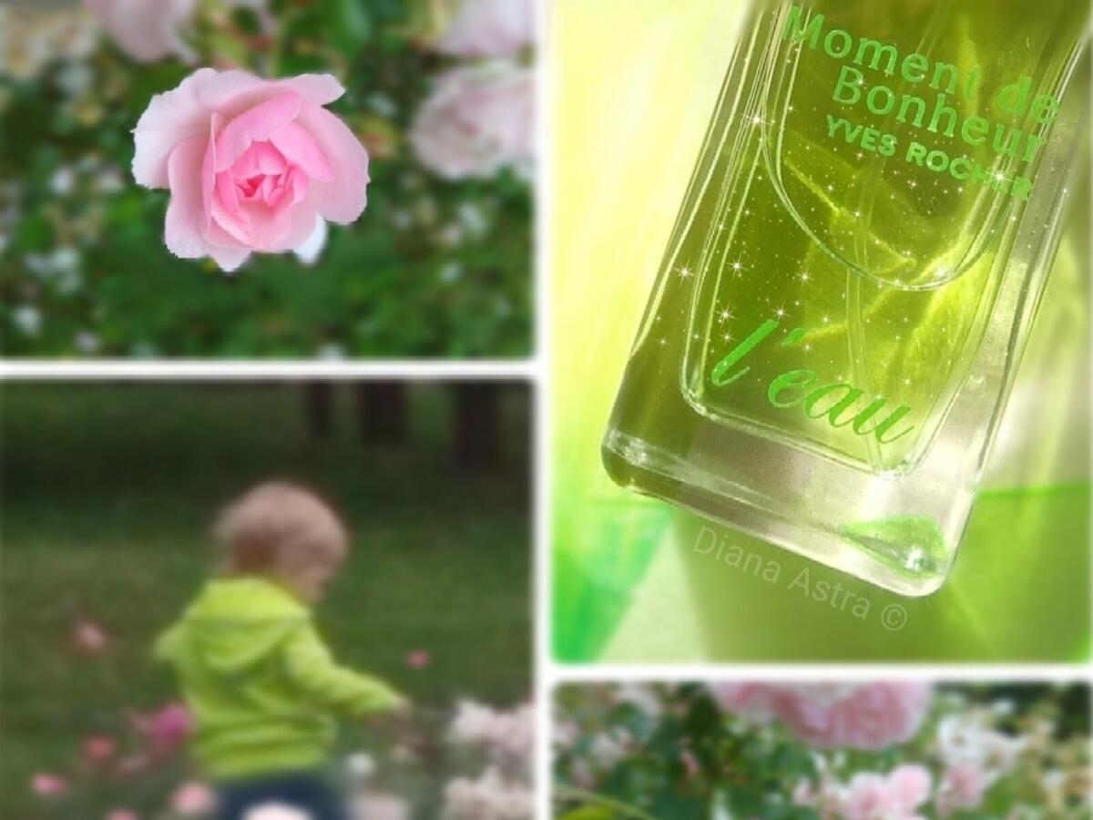 عطر ادکلن مومنت د بونور له او ایو روشه - Moment de Bonheur L'Eau Yves Rocher - بررسی، قیمت و خرید