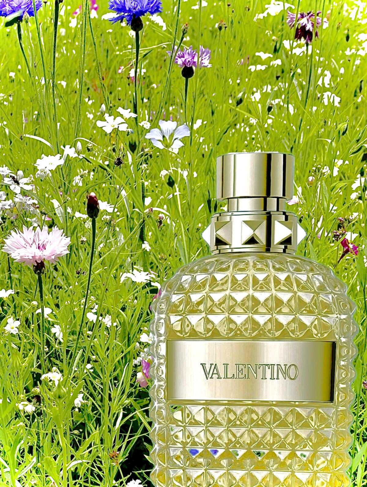 عطر ادکلن بورن این روما د گلد یومو والنتینو - Born in Roma The Gold Uomo Valentino - بررسی، قیمت و خرید