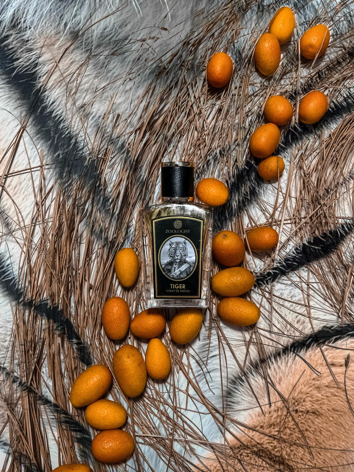 عطر ادکلن تایگر زوالوجیست پرفیومز - Tiger Zoologist Perfumes - بررسی، قیمت و خرید