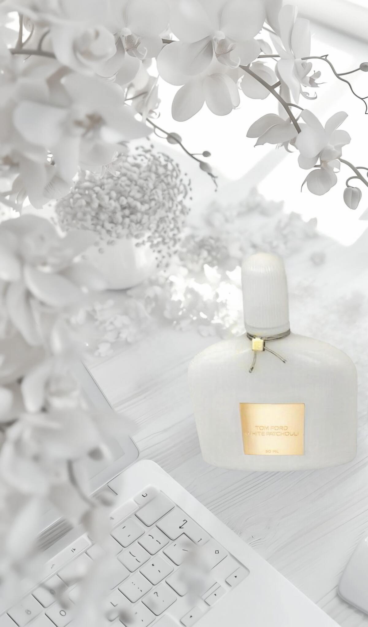 عطر ادکلن وایت پچولی تام فورد - White Patchouli Tom Ford - بررسی، قیمت و خرید