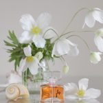 عطر ادکلن فیدیجی پرفیوم گای لاروش - Fidji Parfum Guy Laroche - بررسی، قیمت و خرید