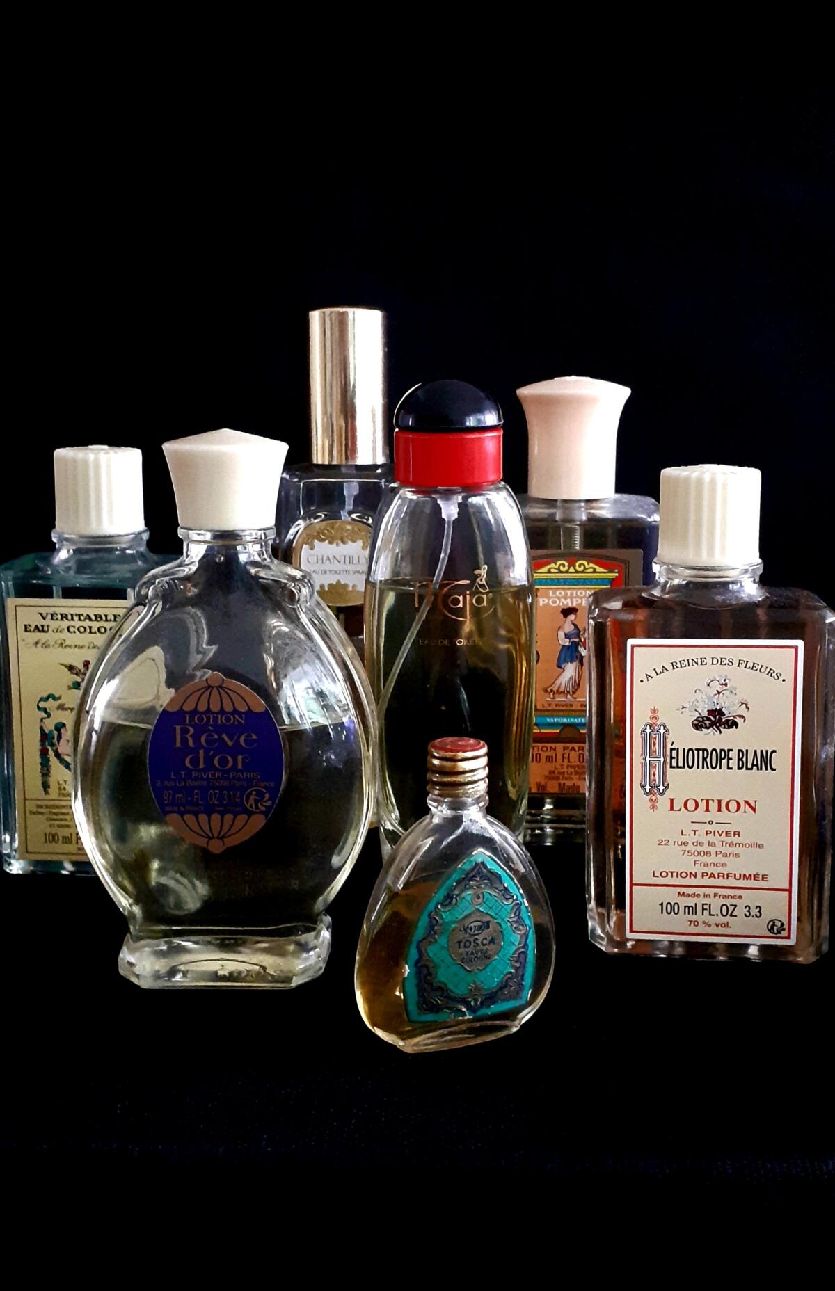 عطر ادکلن توسکا توسکا - Tosca Tosca - بررسی، قیمت و خرید