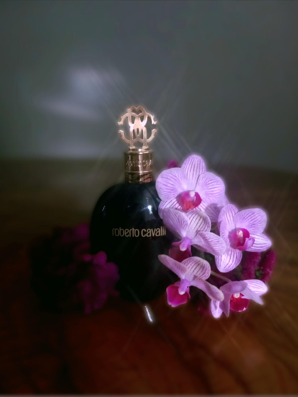 عطر ادکلن رابرتو کاوالی نرو اسولوتو روبرتو کاوالی - Roberto Cavalli Nero Assoluto Roberto Cavalli - بررسی، قیمت و خرید