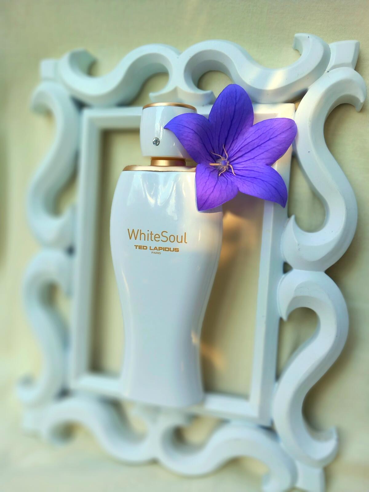 عطر ادکلن وایت سول تد لاپیدوس - White Soul Ted Lapidus - بررسی، قیمت و خرید