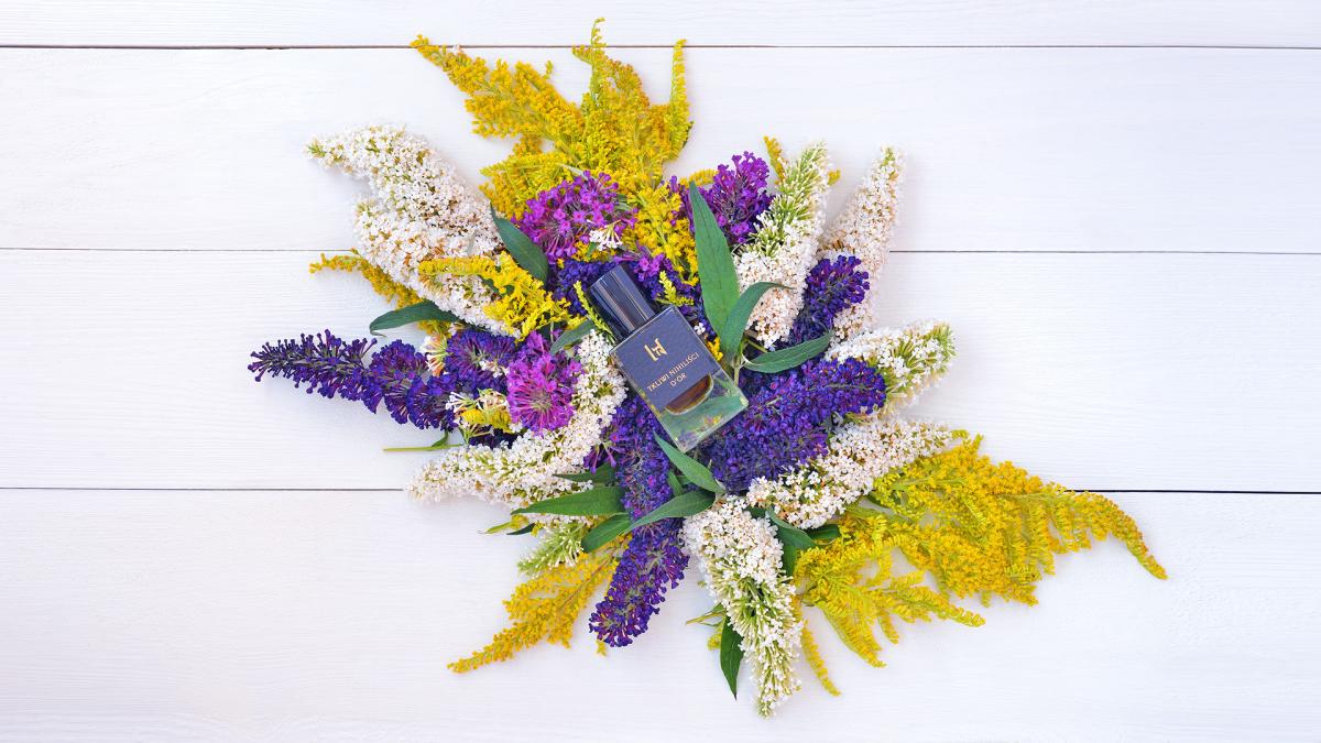 عطر ادکلن دور تکلیوی نیهیلیستی - D'OR Tkliwi Nihilisci - بررسی، قیمت و خرید