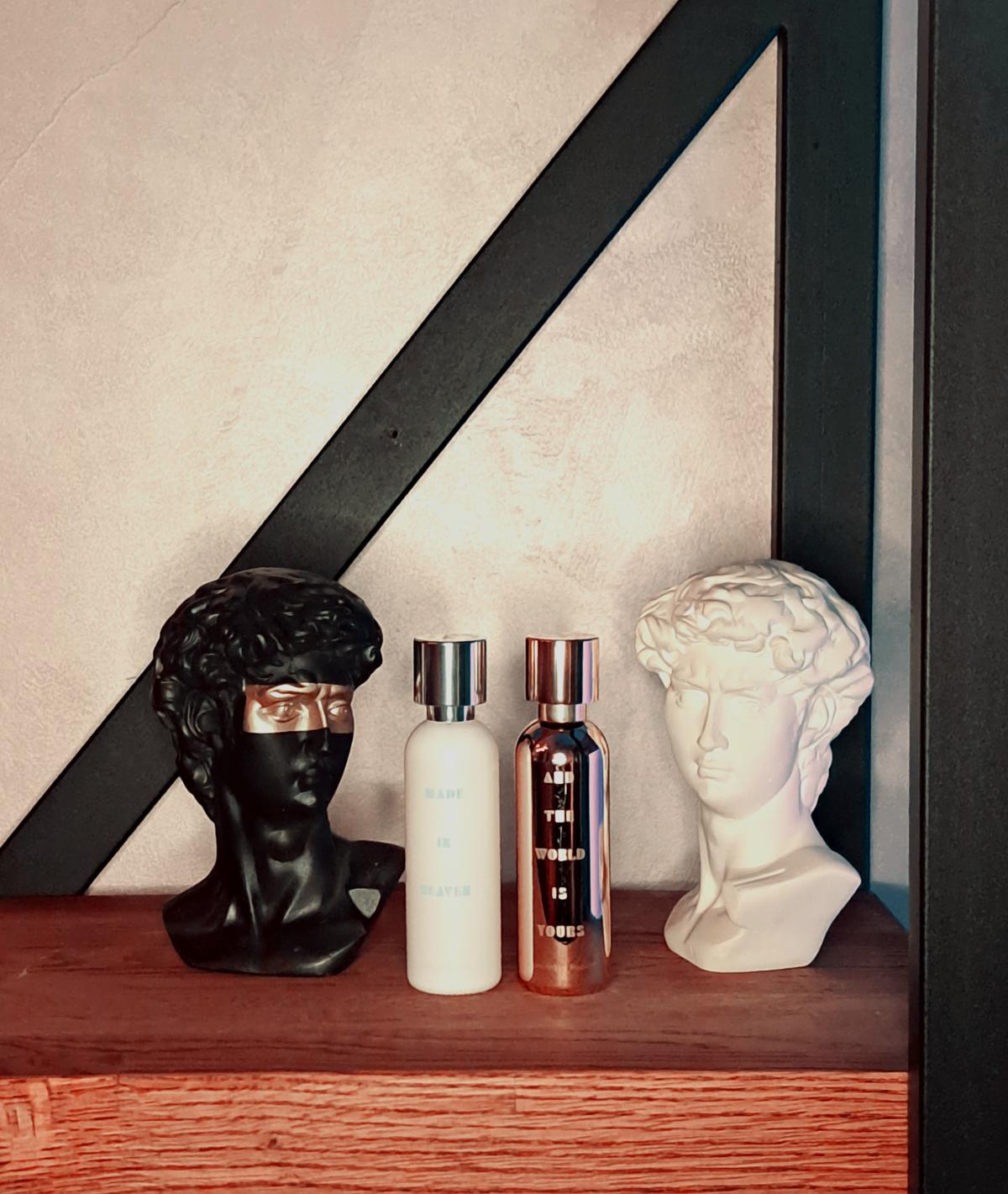 عطر ادکلن اند د ورد ایز یورز وات وی دو ایز سیکرت - And The World Is Yours What We Do Is Secret - بررسی، قیمت و خرید