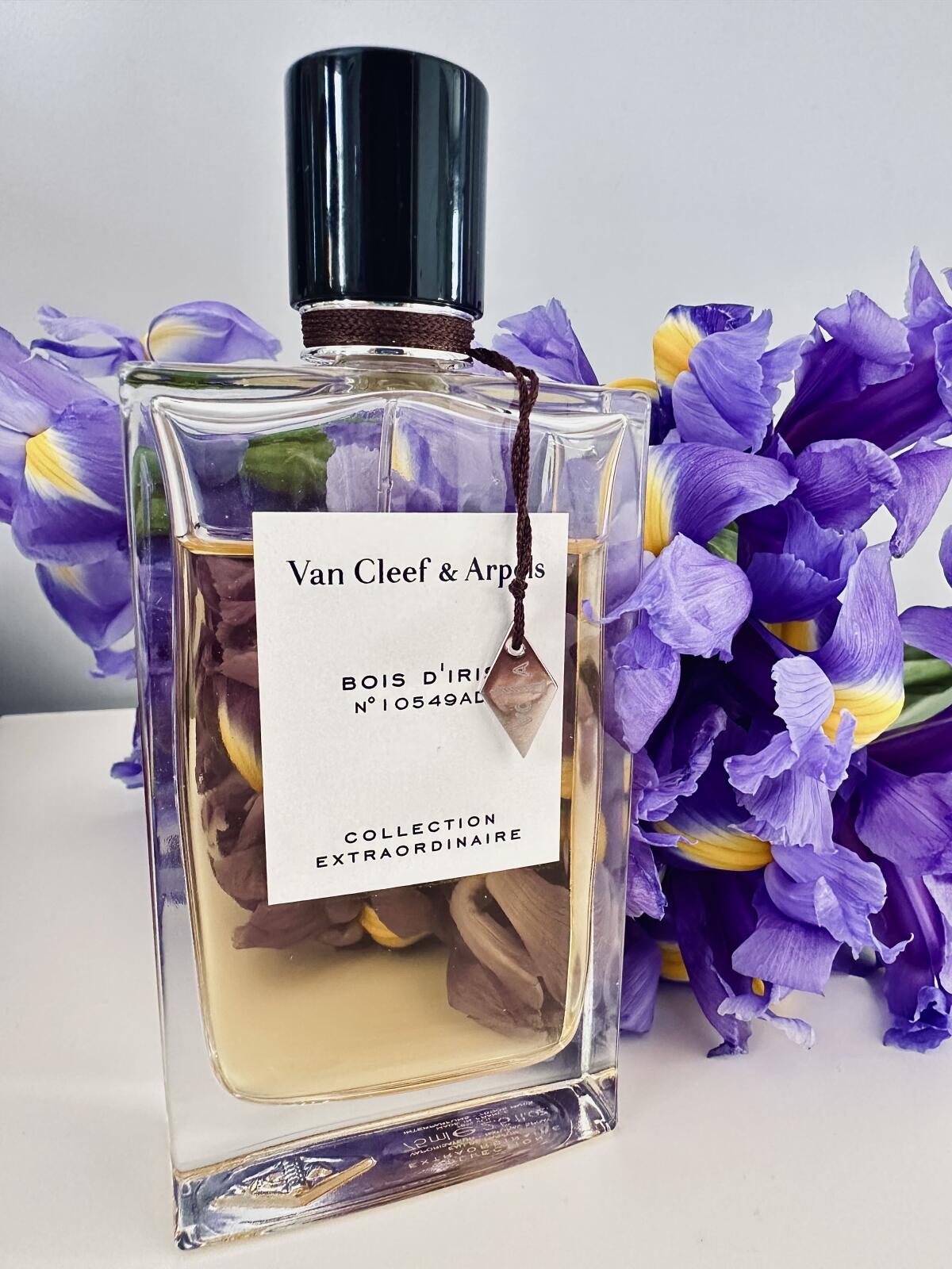 عطر ادکلن بوا د آیریس ون کلیف اند آرپلس - Bois d'Iris Van Cleef & Arpels - بررسی، قیمت و خرید