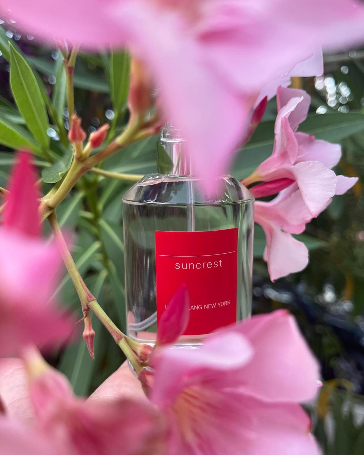 عطر ادکلن سانکرست اولریش لنگ - Suncrest Ulrich Lang - بررسی، قیمت و خرید