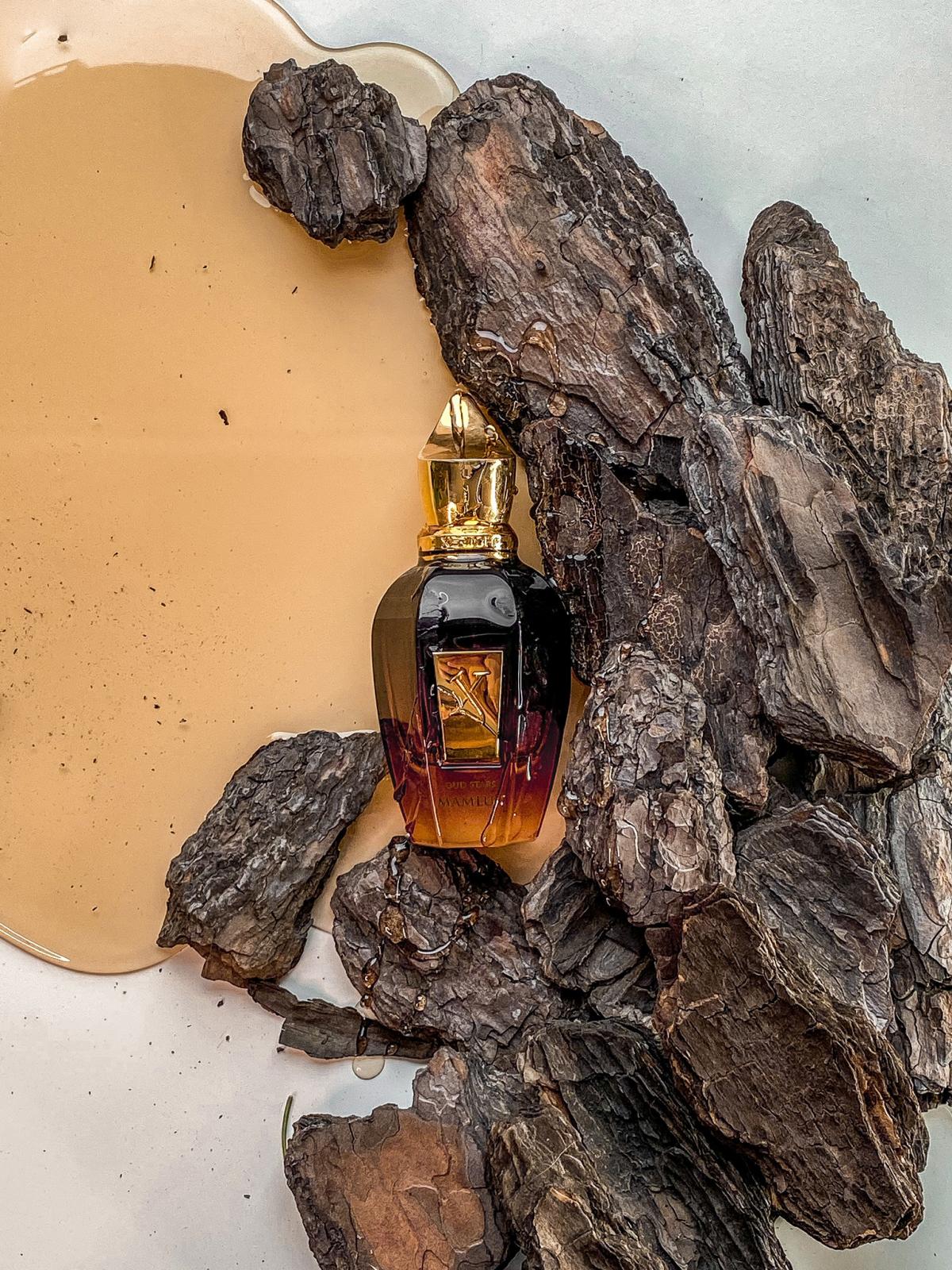 عطر ادکلن مملوک زرجوف - Mamluk Xerjoff - بررسی، قیمت و خرید