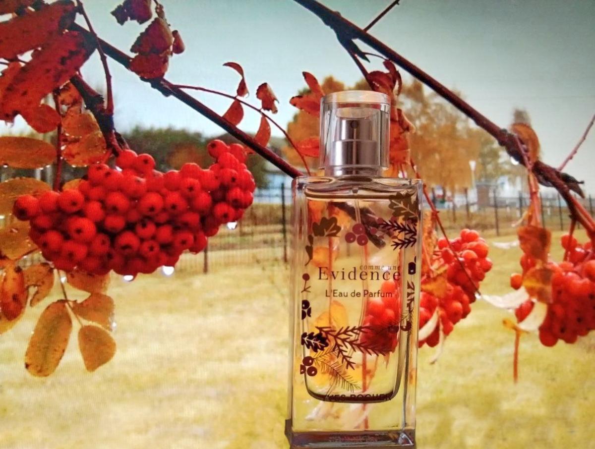 عطر ادکلن کام اون اویدنس لیمیتد ادیشن دو هزار و نوزده ایو روشه - Comme Une Evidence Limited Edition 2019 Yves Rocher - بررسی، قیمت و خرید