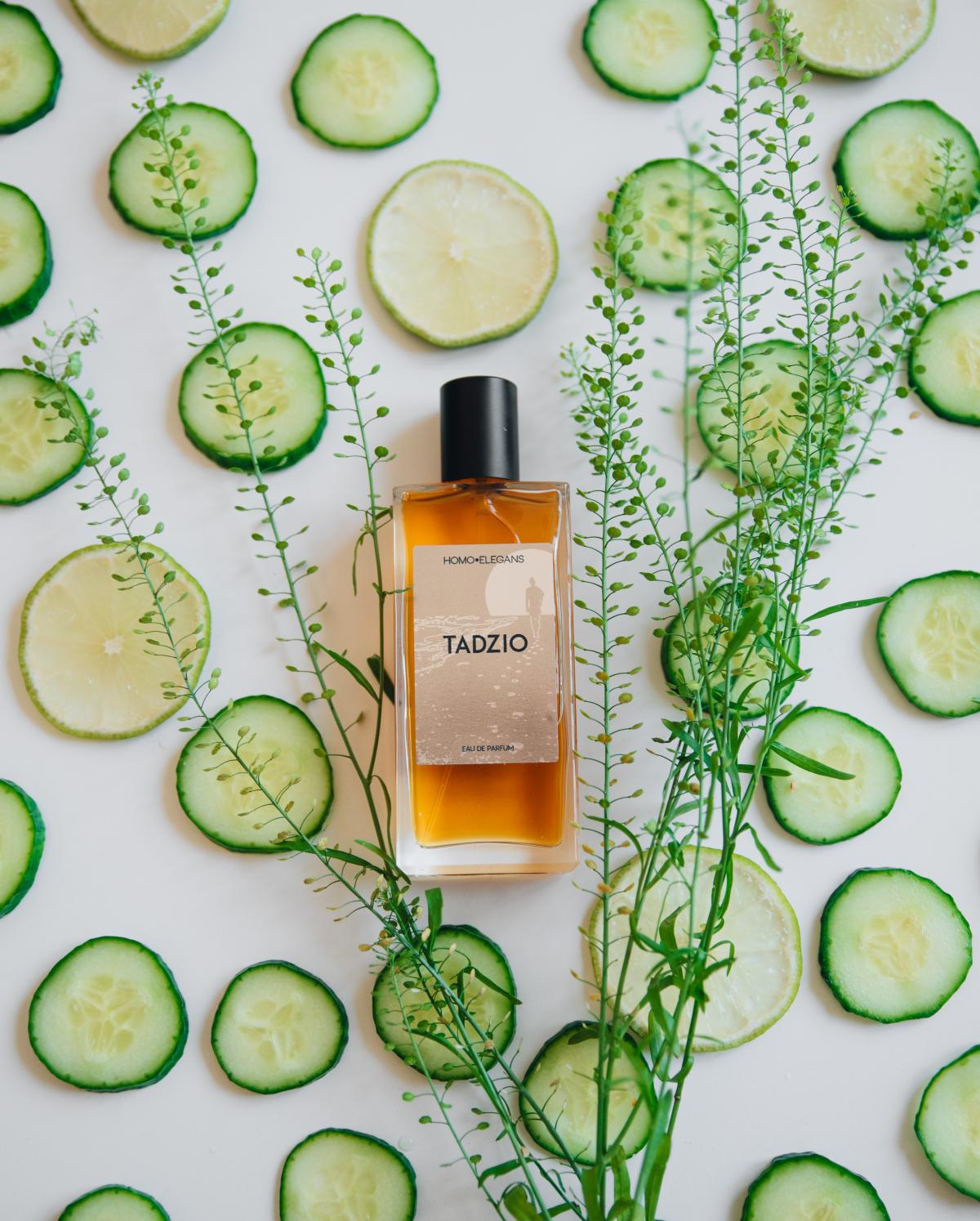 عطر ادکلن تادزیو هومو الگانس - Tadzio Homoelegans - بررسی، قیمت و خرید