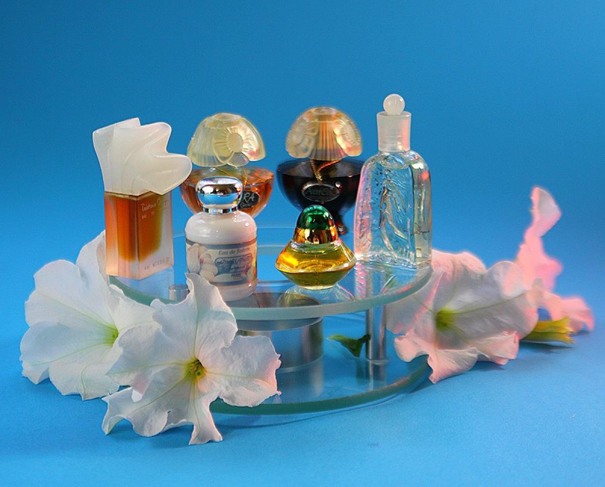 عطر ادکلن تریستانو اونووری فمه تریستانو اونوفری - Tristano Onofri Femme Tristano Onofri - بررسی، قیمت و خرید