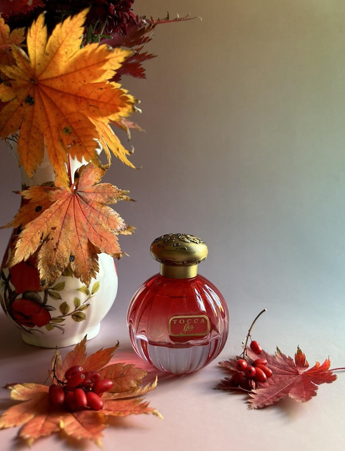 عطر ادکلن جیا توکا - Gia Tocca - بررسی، قیمت و خرید