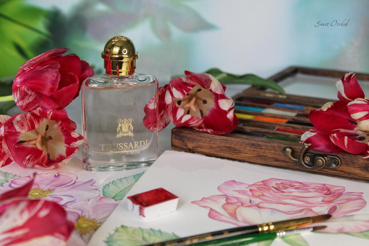 عطر ادکلن ترساردی دلیکیت رز تروساردی - Trussardi Delicate Rose Trussardi - بررسی، قیمت و خرید