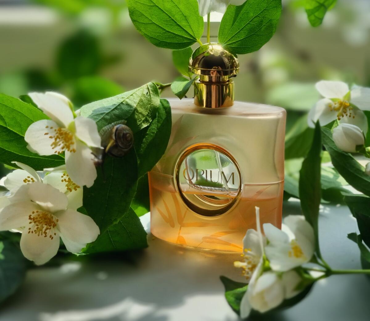 عطر ادکلن اوپیوم وپغ د پغفم ایو سن لوران - Opium Vapeurs de Parfum Yves Saint Laurent - بررسی، قیمت و خرید