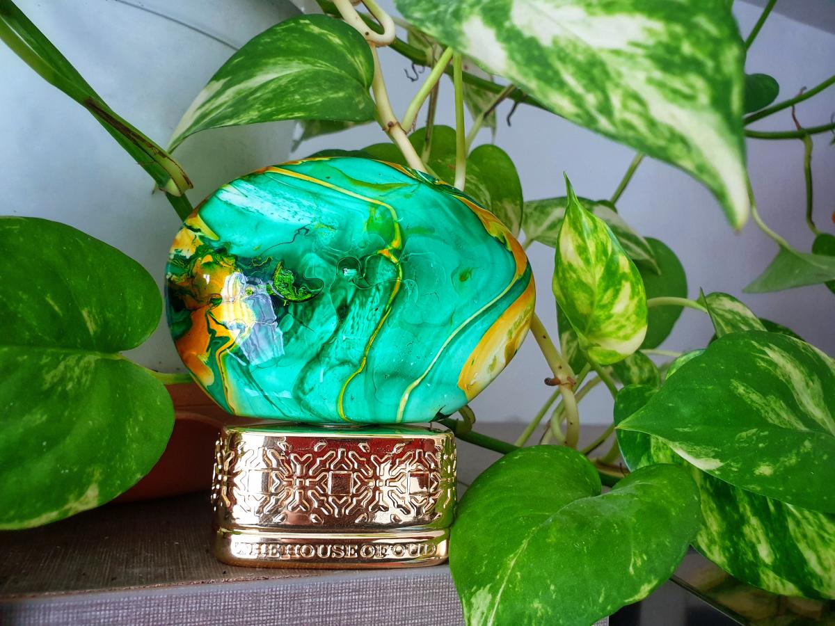 عطر ادکلن سایپرس شید د هوس آو عود - Cypress Shade The House of Oud - بررسی، قیمت و خرید