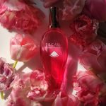 عطر ادکلن سوربتو روسو اِسکادا - Sorbetto Rosso Escada - بررسی، قیمت و خرید