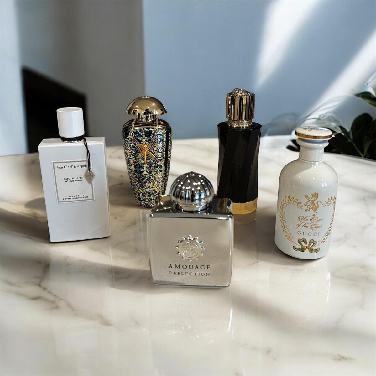 عطر ادکلن کوئین آو د نایت د مرچنت آو ونیس - Queen of The Night The Merchant of Venice - بررسی، قیمت و خرید