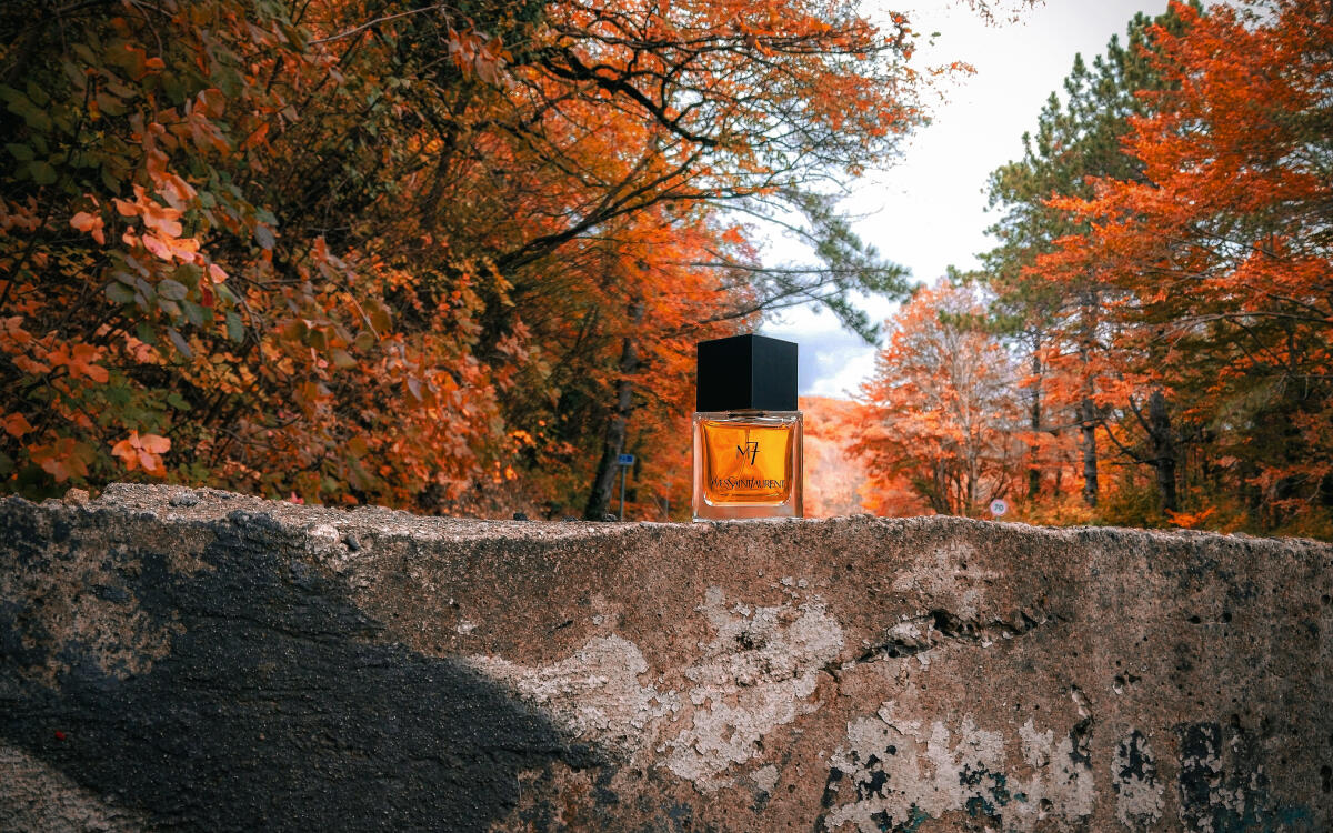 عطر ادکلن ام هفت ایو سن لورن - M7 Yves Saint Laurent - بررسی، قیمت و خرید