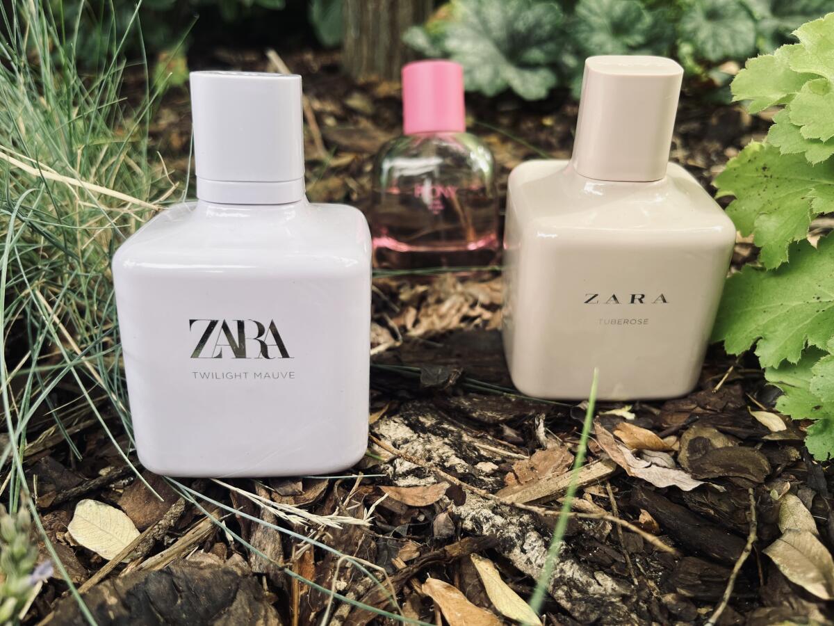 عطر ادکلن پئونی زارا - Peony Zara - بررسی، قیمت و خرید