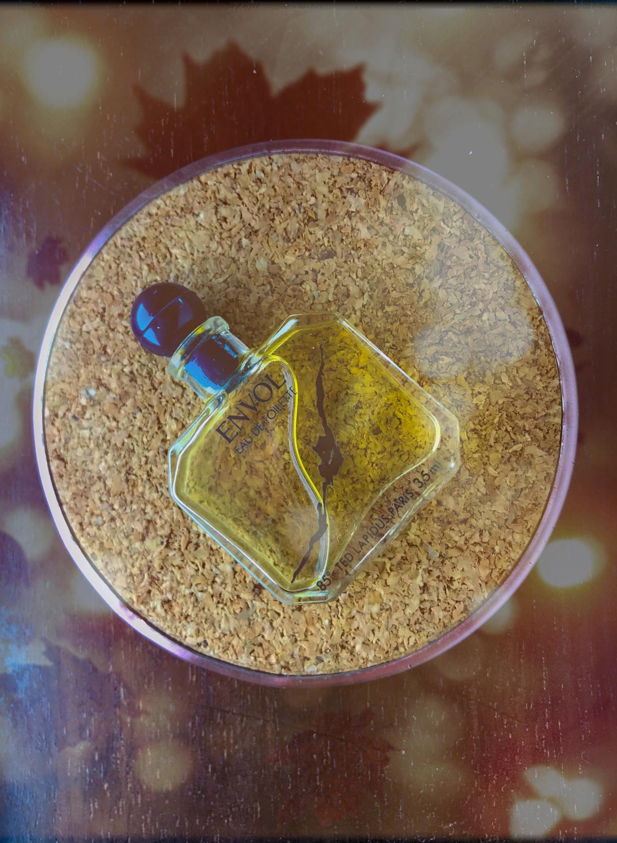 عطر ادکلن آنول تد لاپیدوس - Envol Ted Lapidus - بررسی، قیمت و خرید