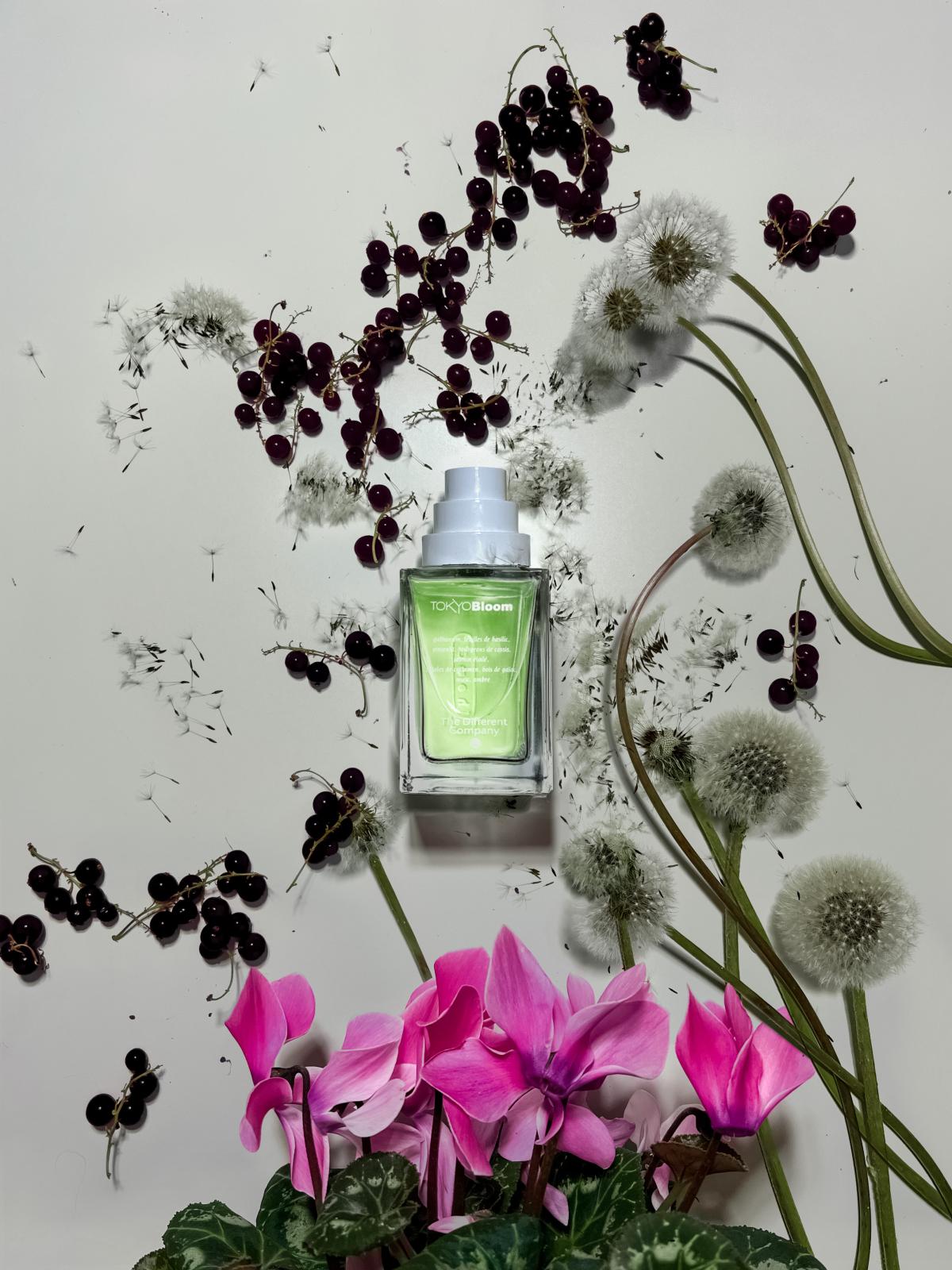 عطر ادکلن توکیو بلوم د دفرنت کامپنی - Tokyo Bloom The Different Company - بررسی، قیمت و خرید