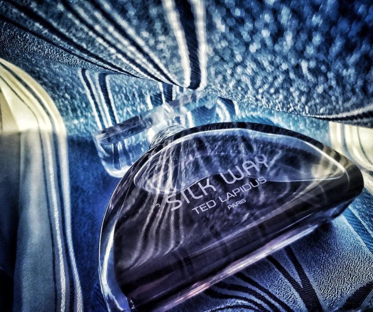 عطر ادکلن سیلک وی تد لاپیدوس - Silk Way Ted Lapidus - بررسی، قیمت و خرید