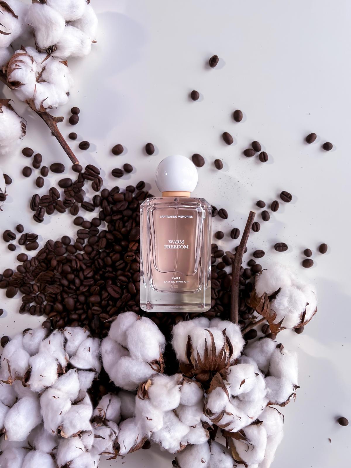 عطر ادکلن ورم فریدم زارا - Warm Freedom Zara - بررسی، قیمت و خرید