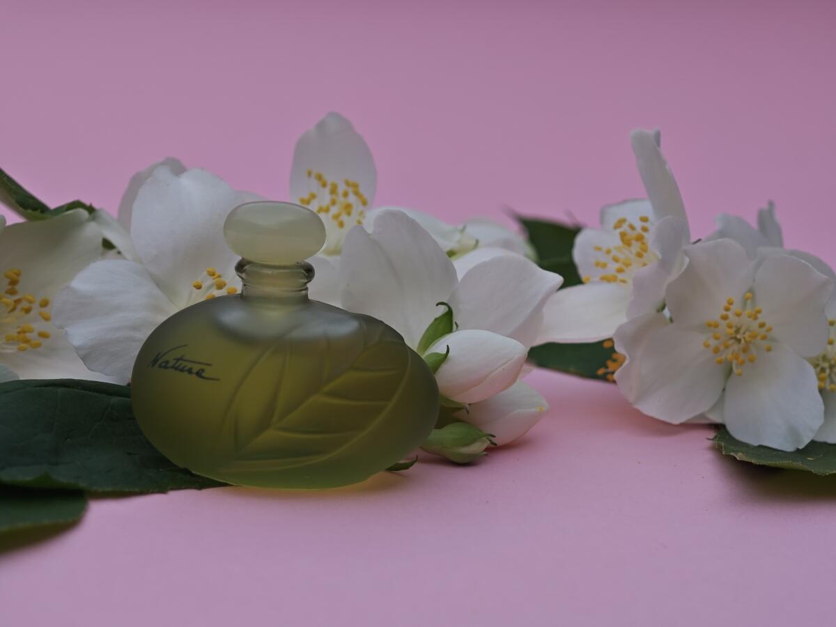 عطر ادکلن نیچر ایو روشه - Nature Yves Rocher - بررسی، قیمت و خرید