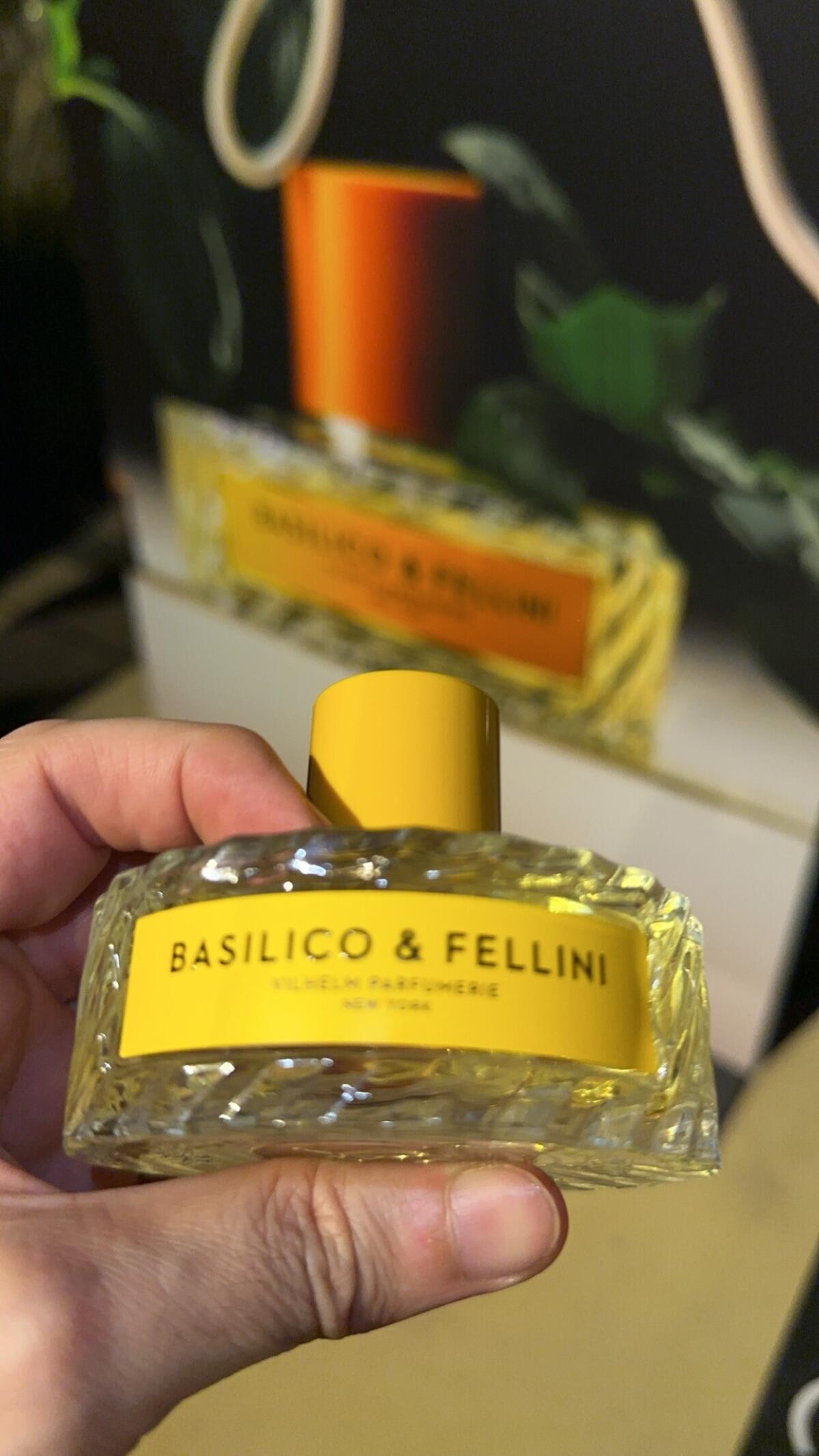 عطر ادکلن باسیلیکو اند فلینی ویلهلم پرفیومری - Basilico & Fellini Vilhelm Parfumerie - بررسی، قیمت و خرید