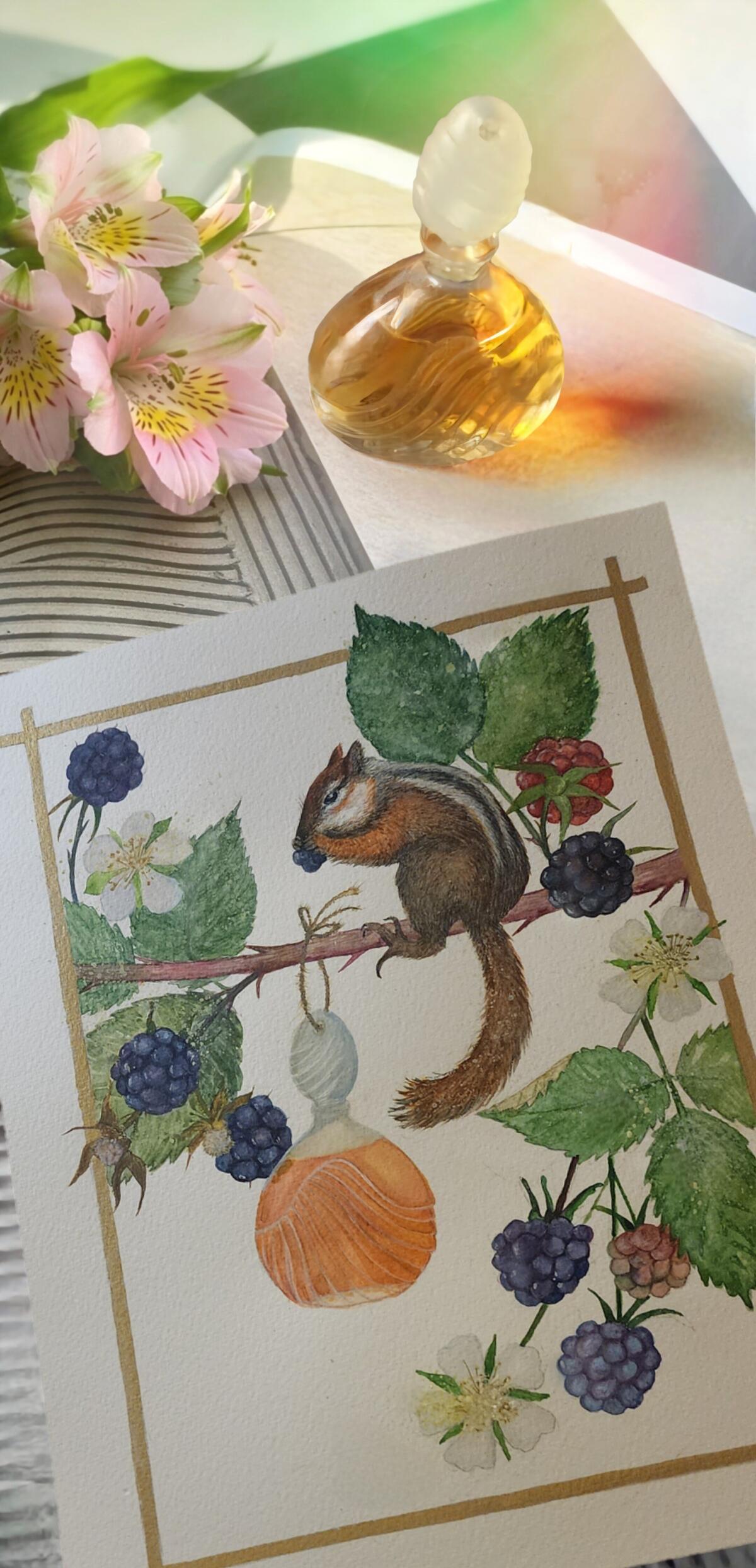 عطر ادکلن کریشِن 1984 تد لاپیدوس - Creation 1984 Ted Lapidus - بررسی، قیمت و خرید