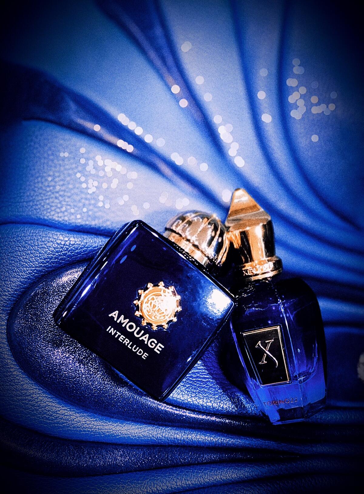 عطر ادکلن تورینو بیست و دو زرژف - Torino22 Xerjoff - بررسی، قیمت و خرید