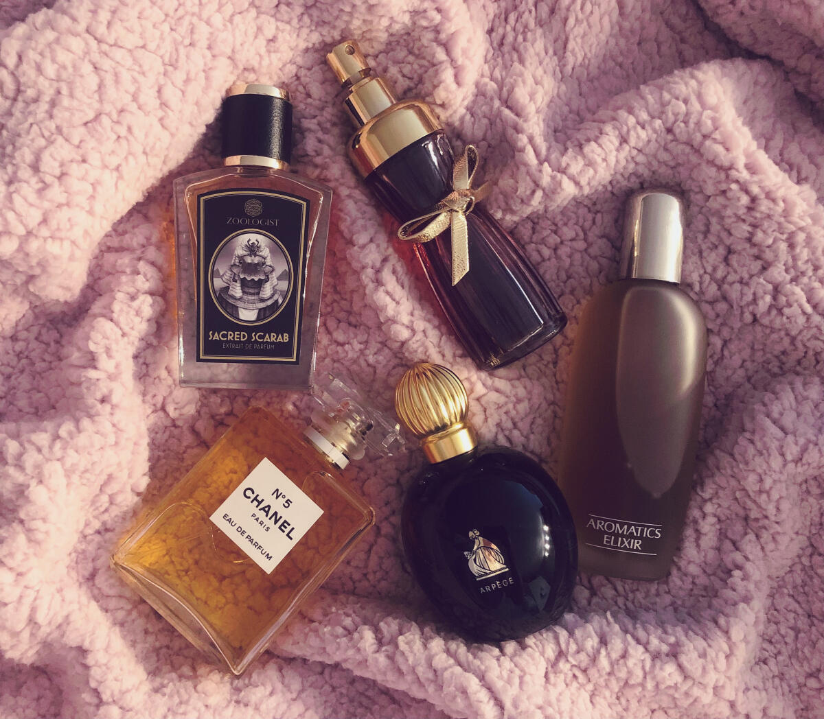 عطر ادکلن سیکرد اسکارب زئولوژیست پرفیومز - Sacred Scarab Zoologist Perfumes - بررسی، قیمت و خرید