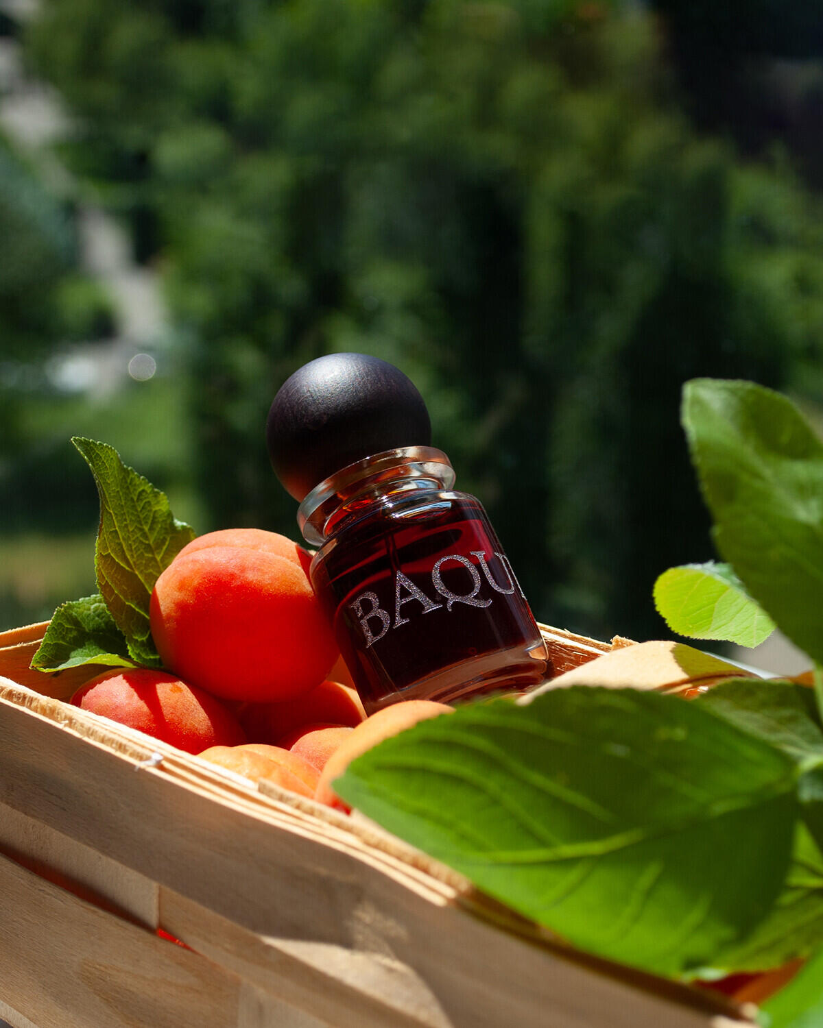 عطر ادکلن باک اسلومبرهاوس - Baque Slumberhouse - بررسی، قیمت و خرید