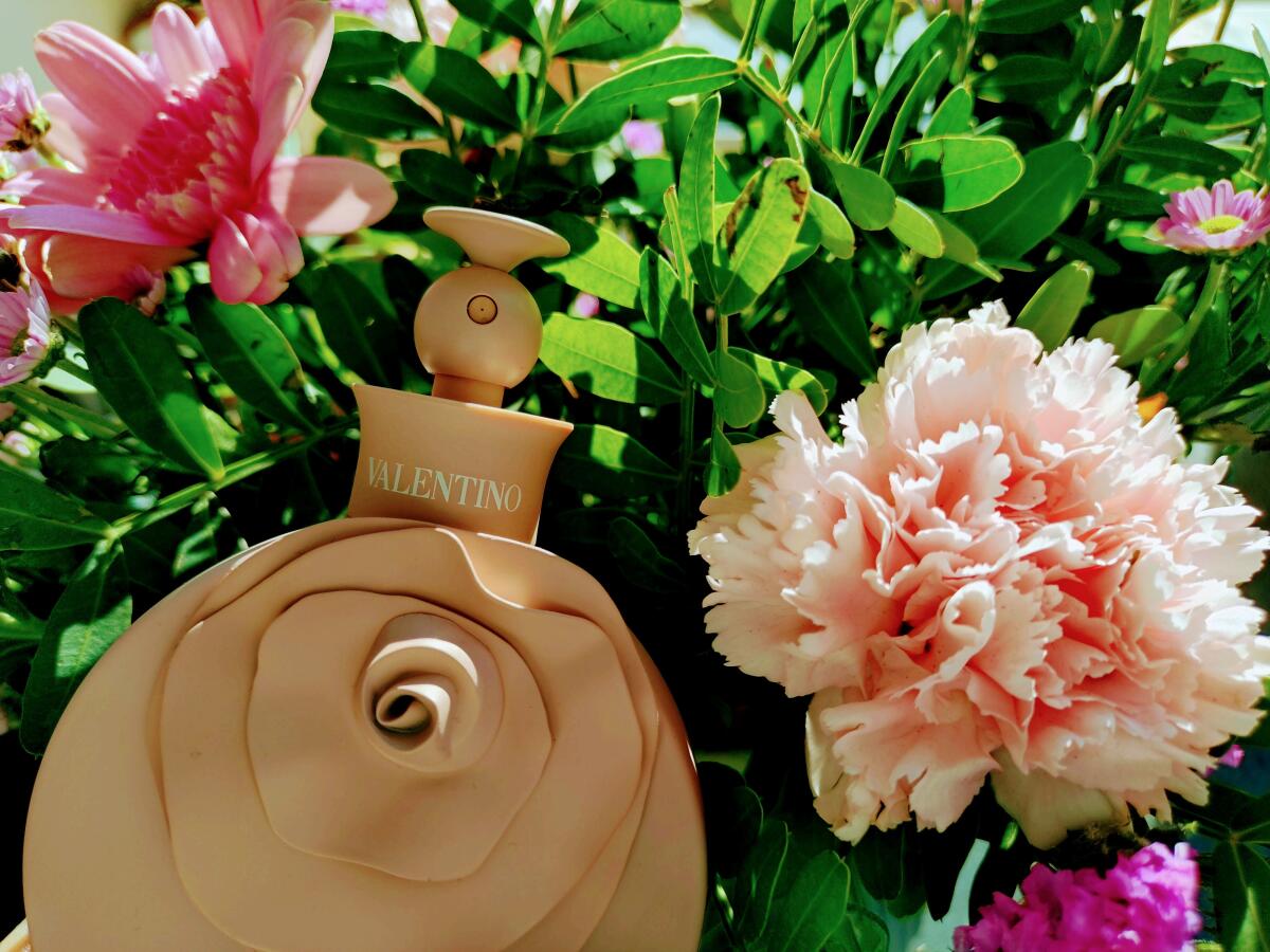 عطر ادکلن والنتینا پودره ولنتینو - Valentina Poudre Valentino - بررسی، قیمت و خرید