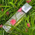 عطر ادکلن اِنوای گوچی - Envy Gucci - بررسی، قیمت و خرید