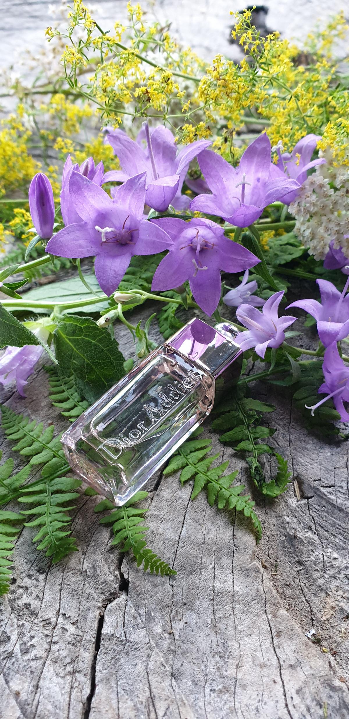 عطر ادکلن دیور ادیکت شاین دیور - Dior Addict Shine Dior - بررسی، قیمت و خرید